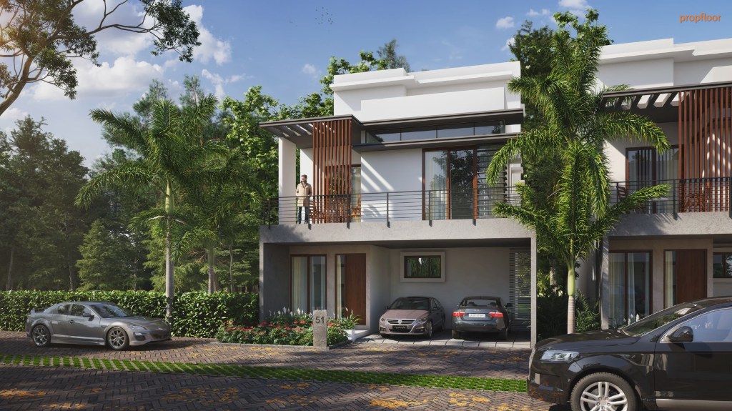 Gallery image 2 for Daintree by MANA