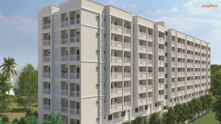 Main image for Global Edifice Orlean