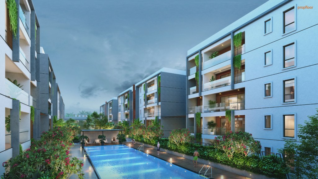 Gallery image 1 for Kumar Plumeria