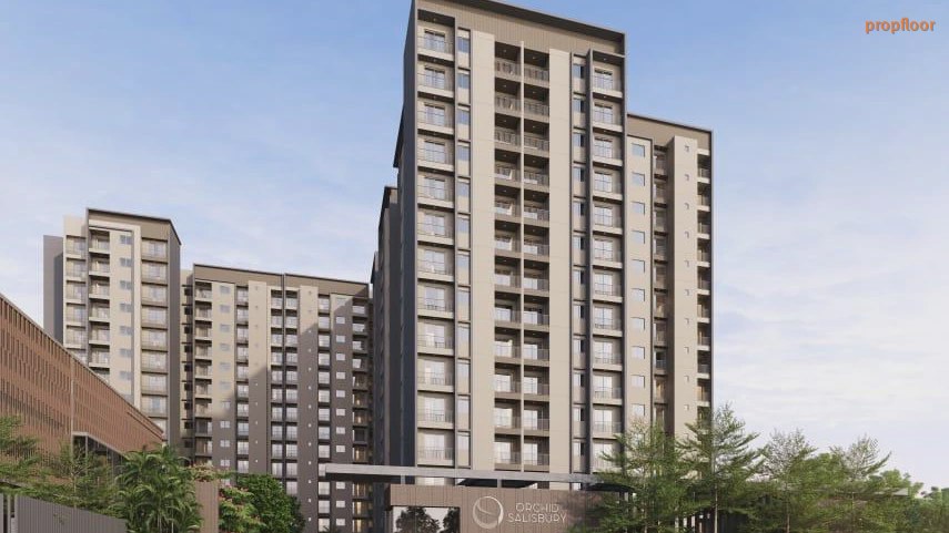 Main image for Orchid Salisbury