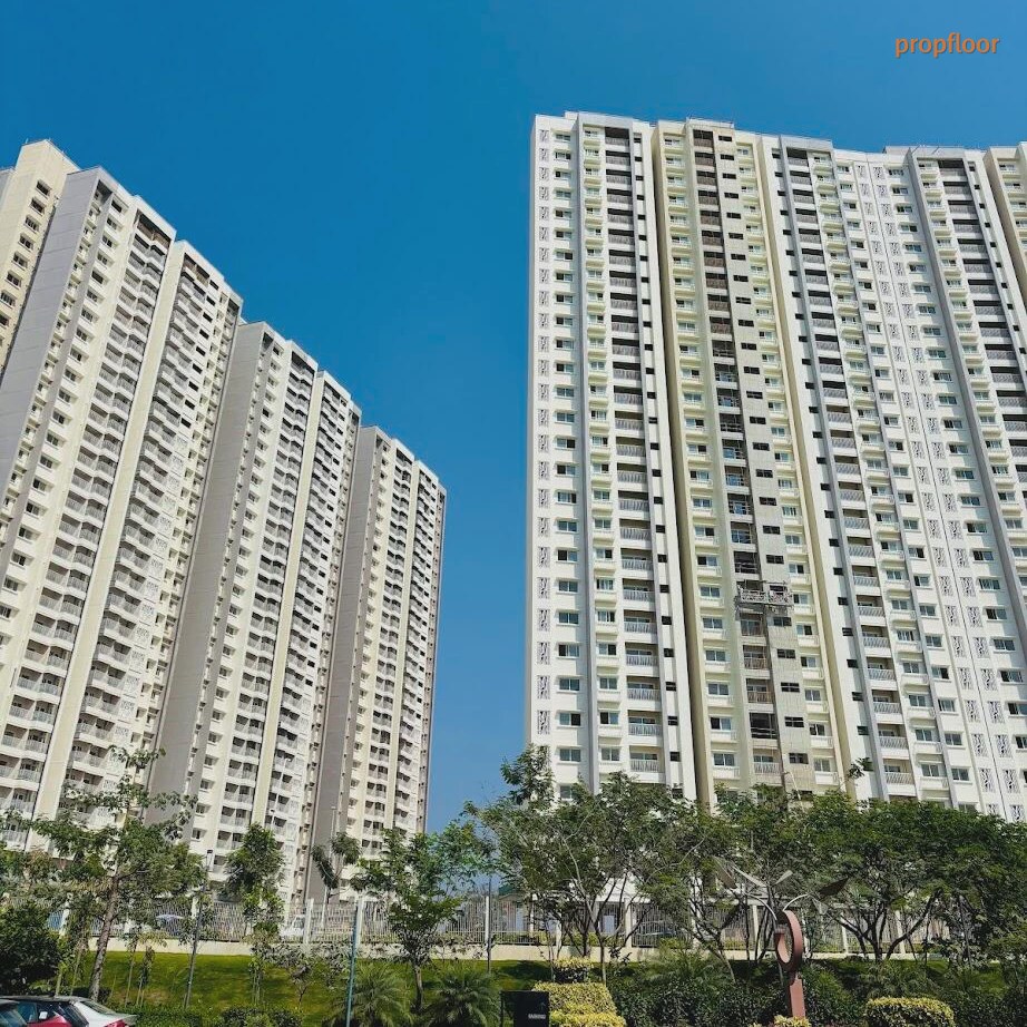Gallery image 1 for Prestige City Avalon Park