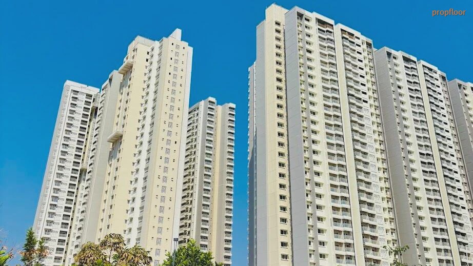 Main image for Prestige City Avalon Park