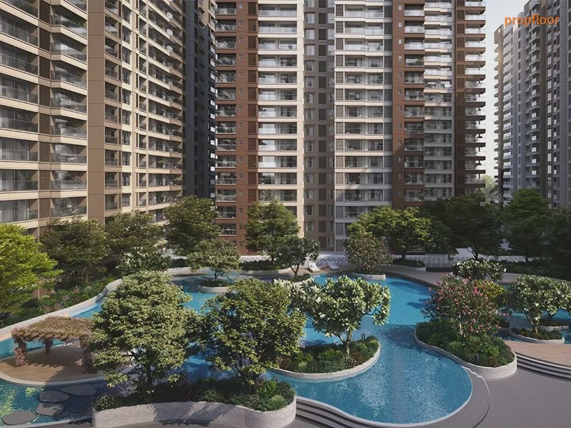 Gallery image 1 for Prestige Evergreen