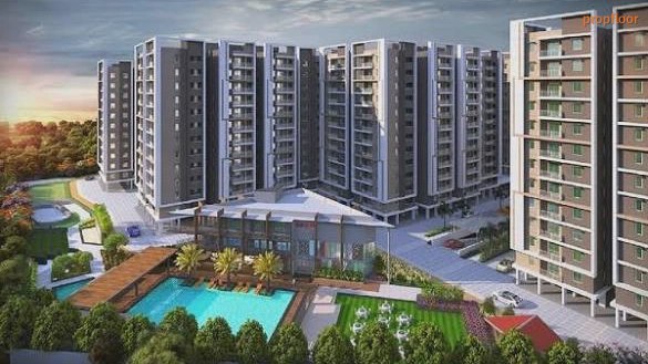 Gallery image 1 for Prestige Evergreen