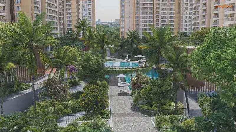 Gallery image 1 for Prestige Southern Star