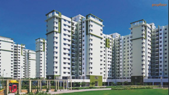 Main image for Provident Sunworth