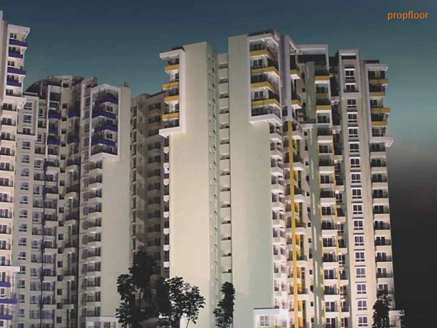 Gallery image 1 for Purva Highland