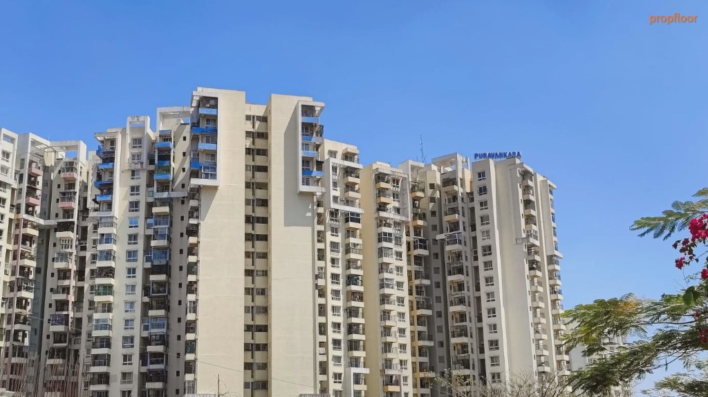 Main image for Purva Highland