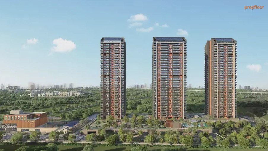 Main image for Purva Silversky