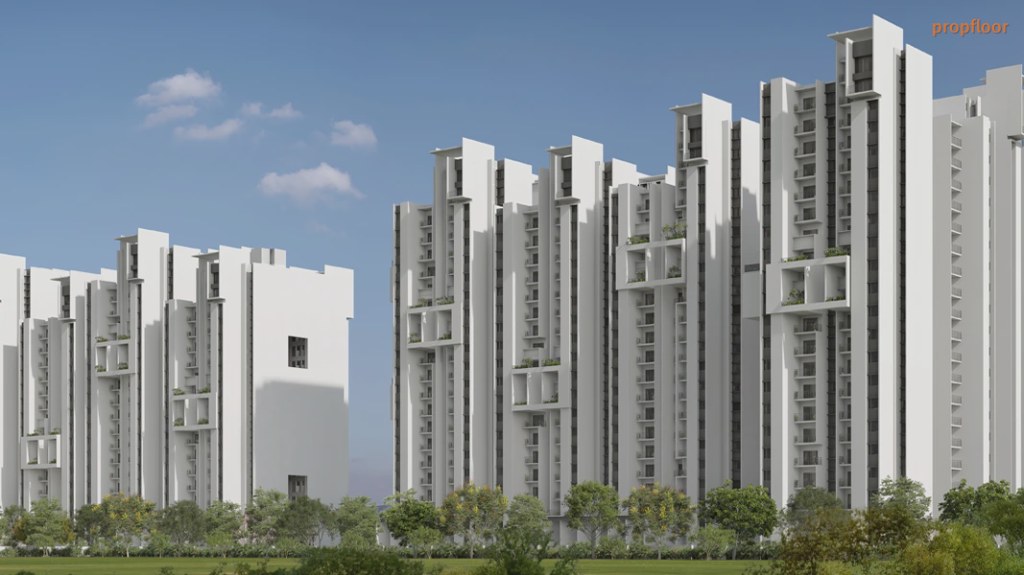 Main image for Rohan Ekanta