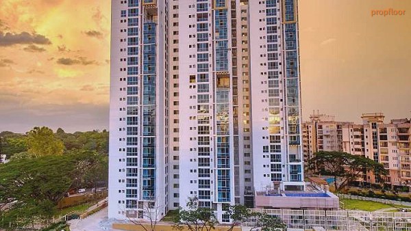 Gallery image 1 for Sattva Luxuria