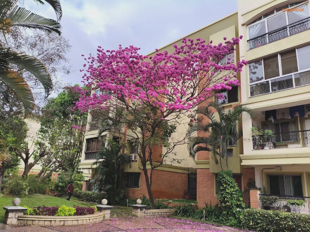 Gallery image 1 for Sobha Amber