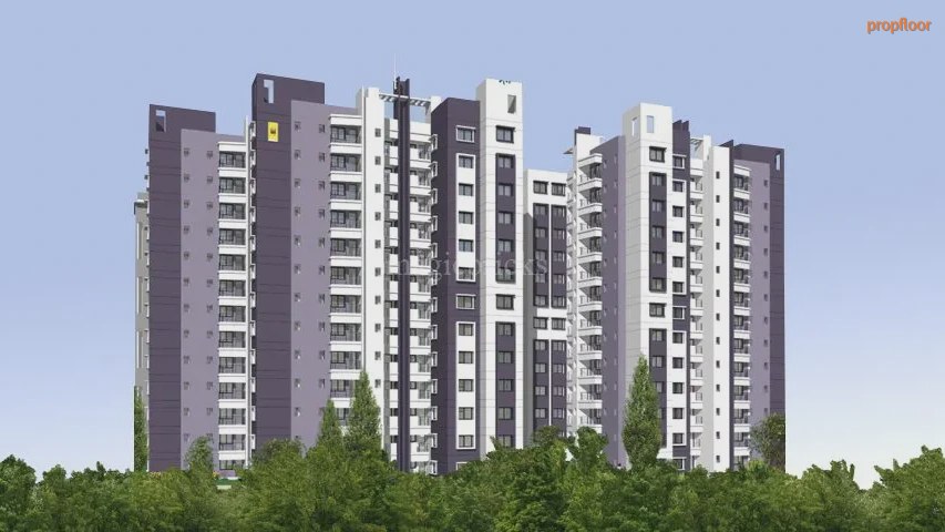 Main image for SOBHA Chrysanthemum