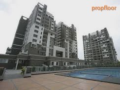 Gallery image 1 for Sobha Petunia