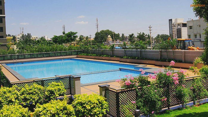 Gallery image 1 for Sobha Petunia